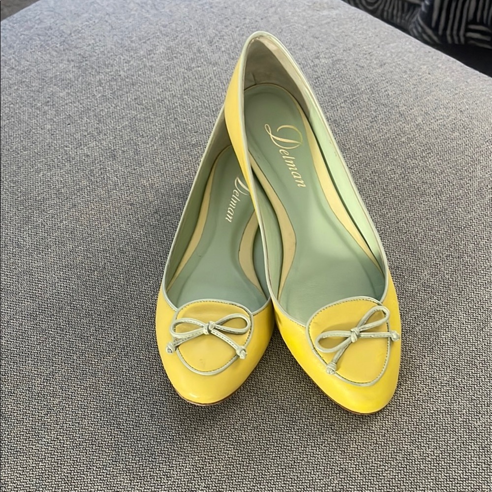🤑 Gently Worn Delman’s Leather Flats